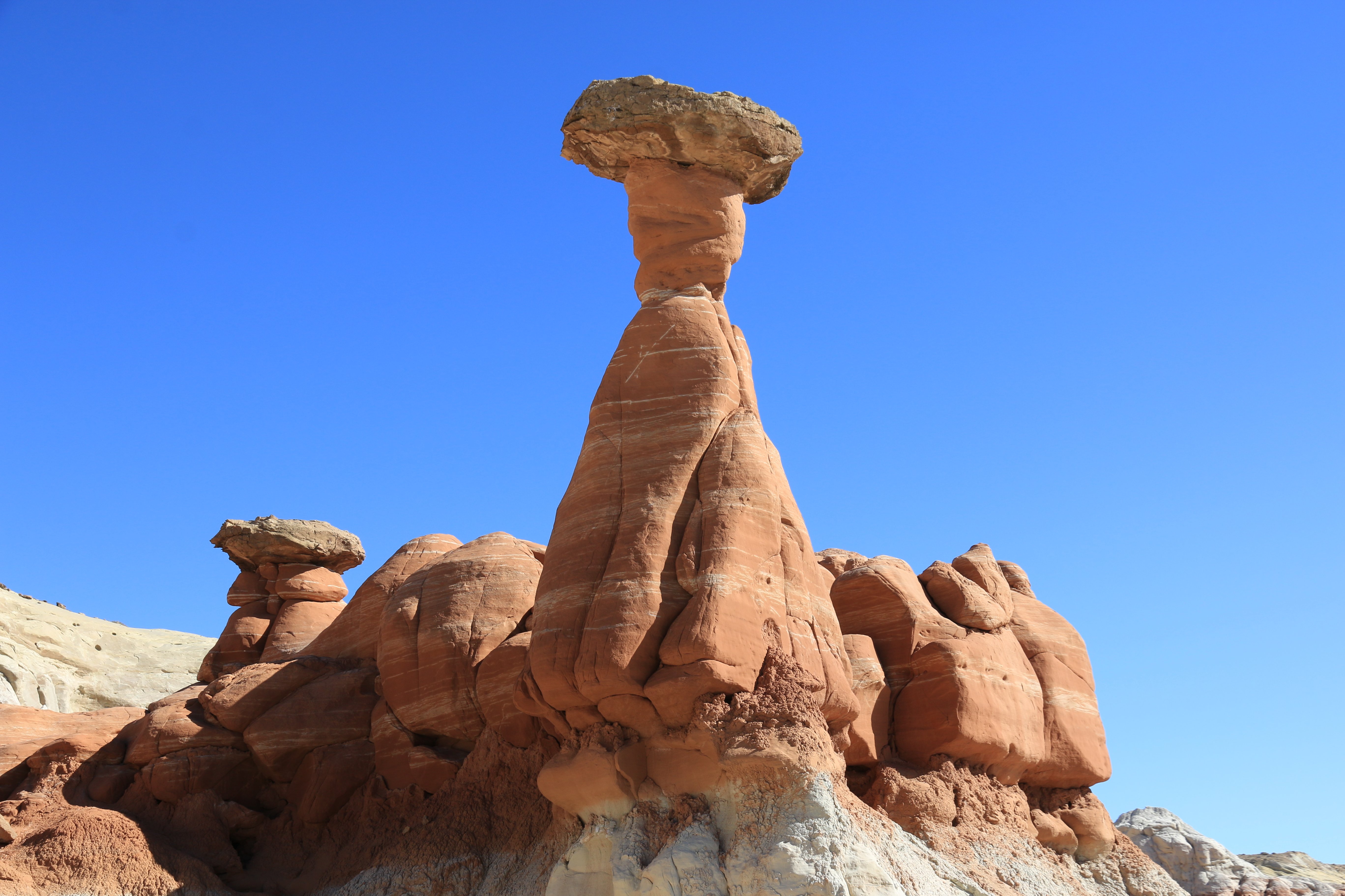 Toadstools
